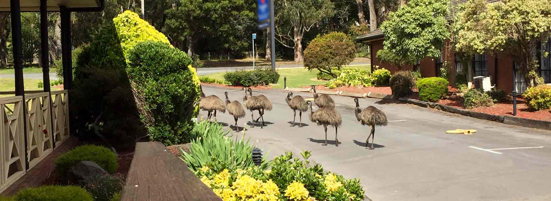 Country Plaza Halls Gap